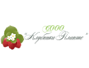 СООО «Клубника Плантс»