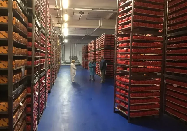  ОАО «Здравушка-милк», Холопеничский производственный участок.  Установка автоматической системы обеззараживания помещений ЭВО