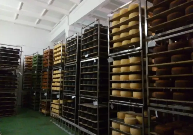  ОАО «Здравушка-милк», Холопеничский производственный участок.  Установка автоматической системы обеззараживания помещений ЭВО