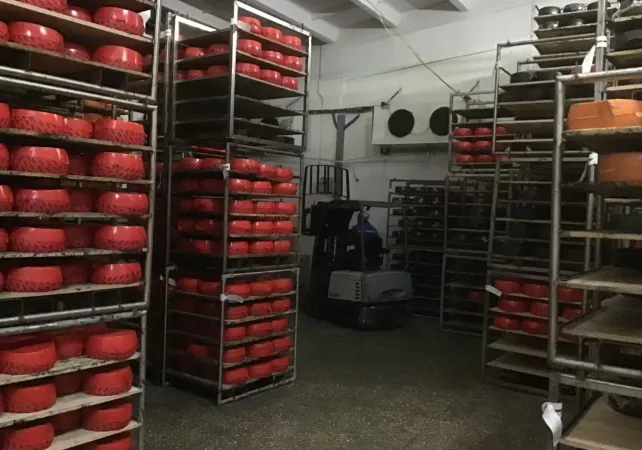  ОАО «Здравушка-милк», Холопеничский производственный участок.  Установка автоматической системы обеззараживания помещений ЭВО